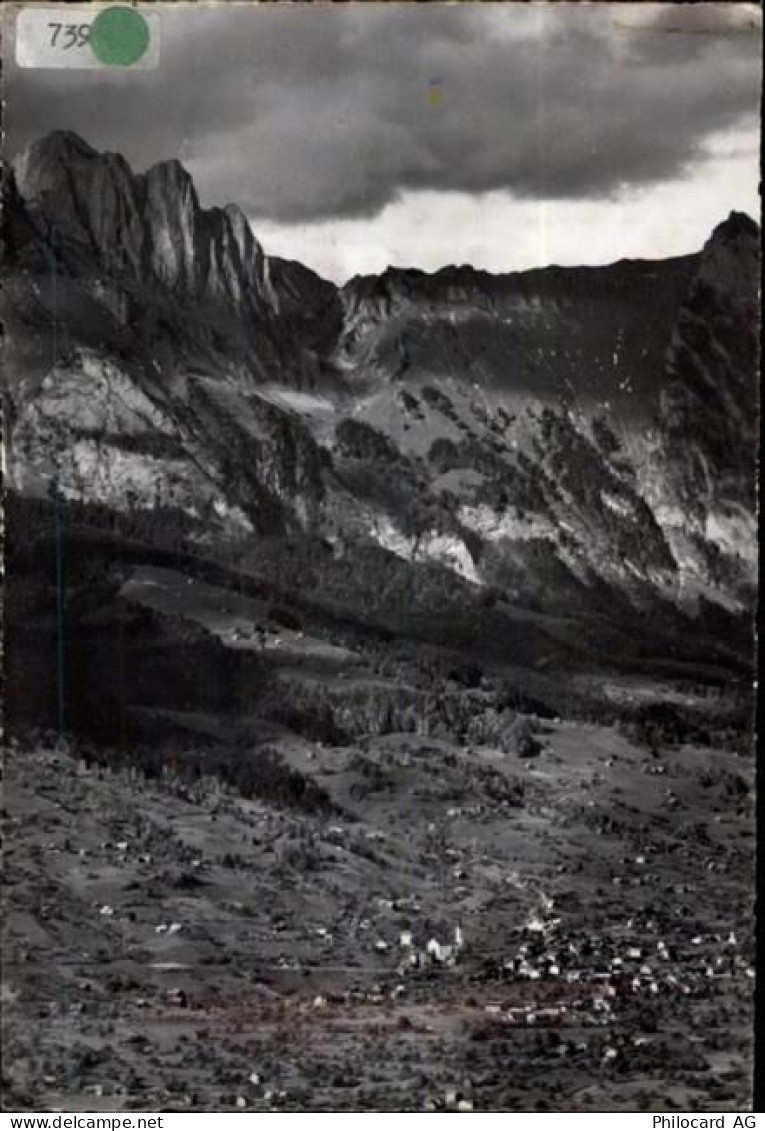 9473 Gams Gasenzen - 50460300