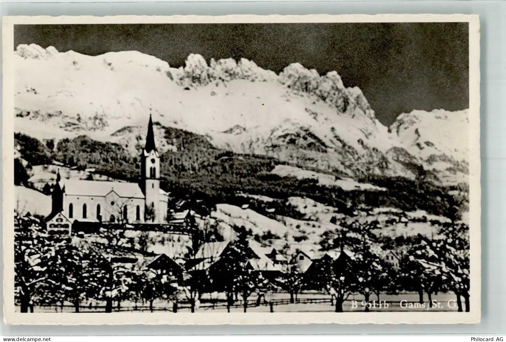 9473 Gams - Winter - 39698342