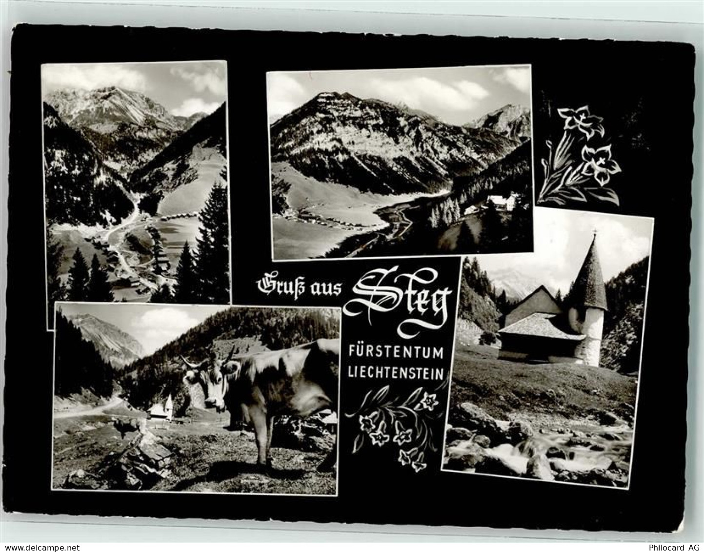 9497 Steg - 13963557