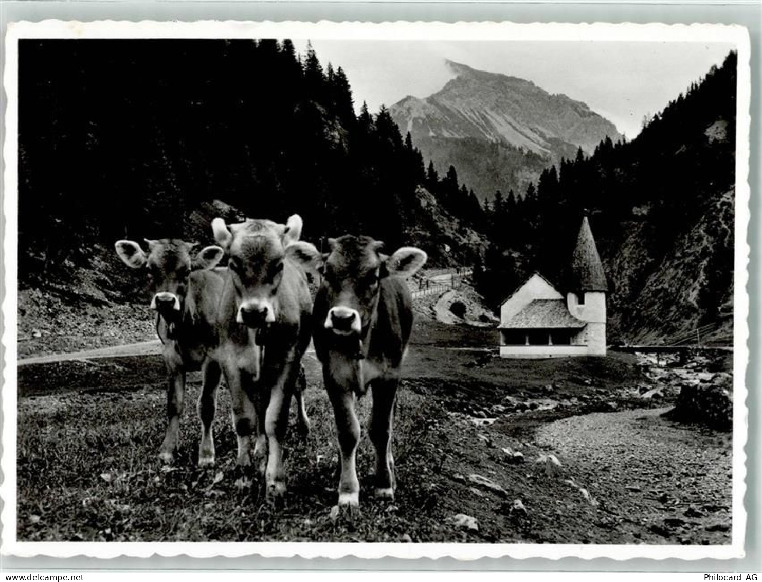 9497 Steg - 13963559