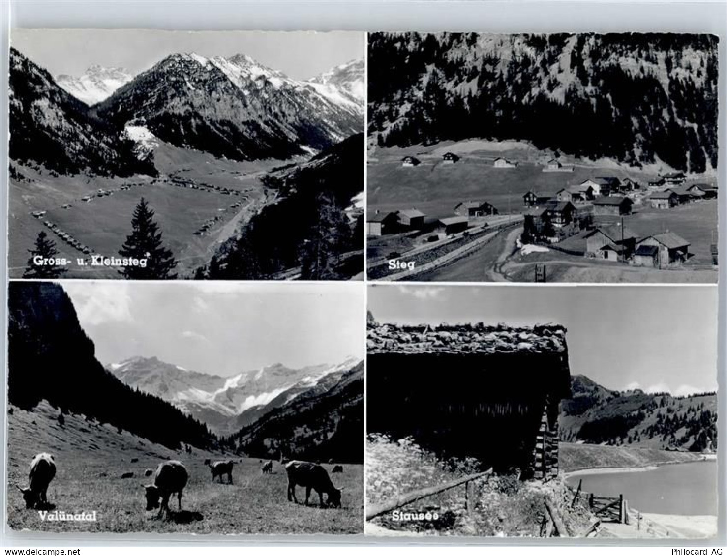 9497 Steg - 51498282