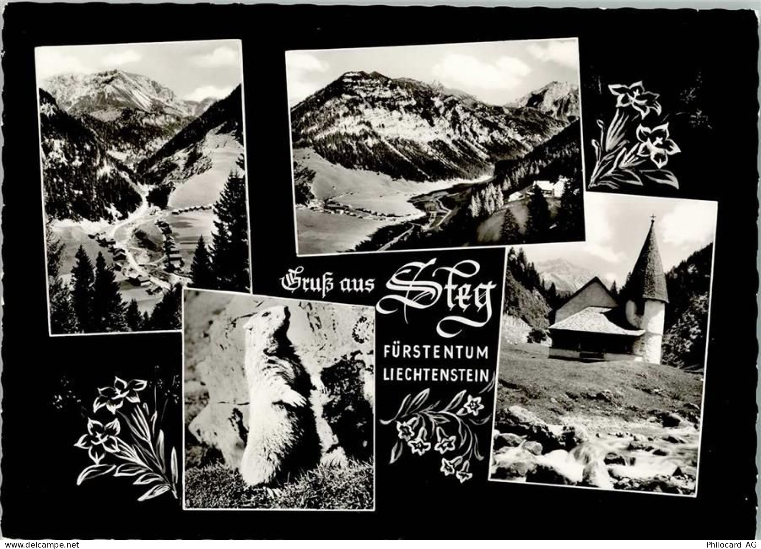 9497 Steg Foto AK - 10686133