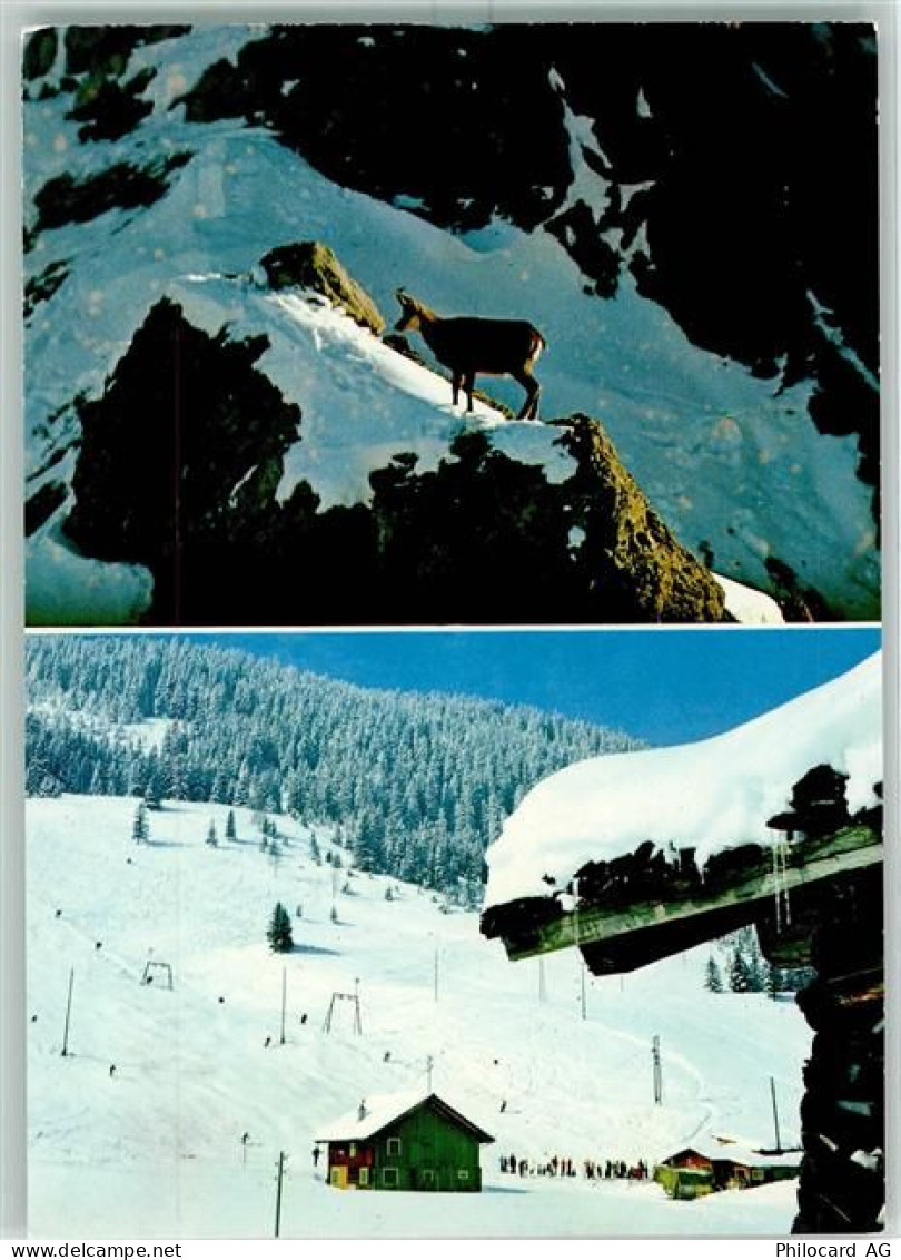 9497 Steg - Gemse Skigelände Steg Saminatal Winter - 10191893