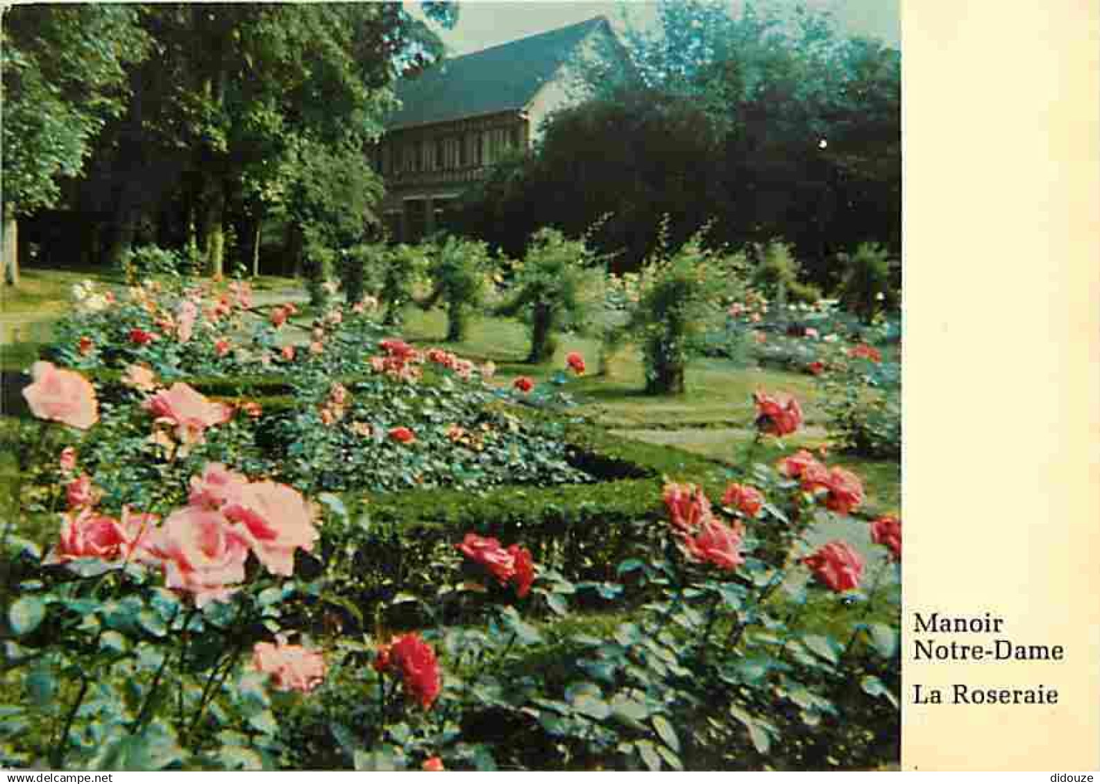 95 - Maffliers - Montsoult - Maison de convalescence - La Roseraie - Fleurs - Carte Neuve - CPM - Voir Scans Recto-Verso