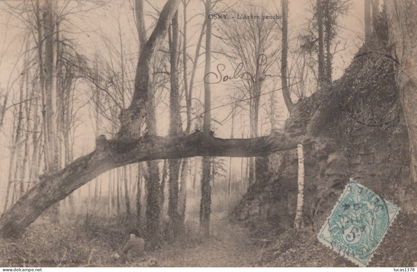 95 / OSNY / L'ARBRE PENCHE