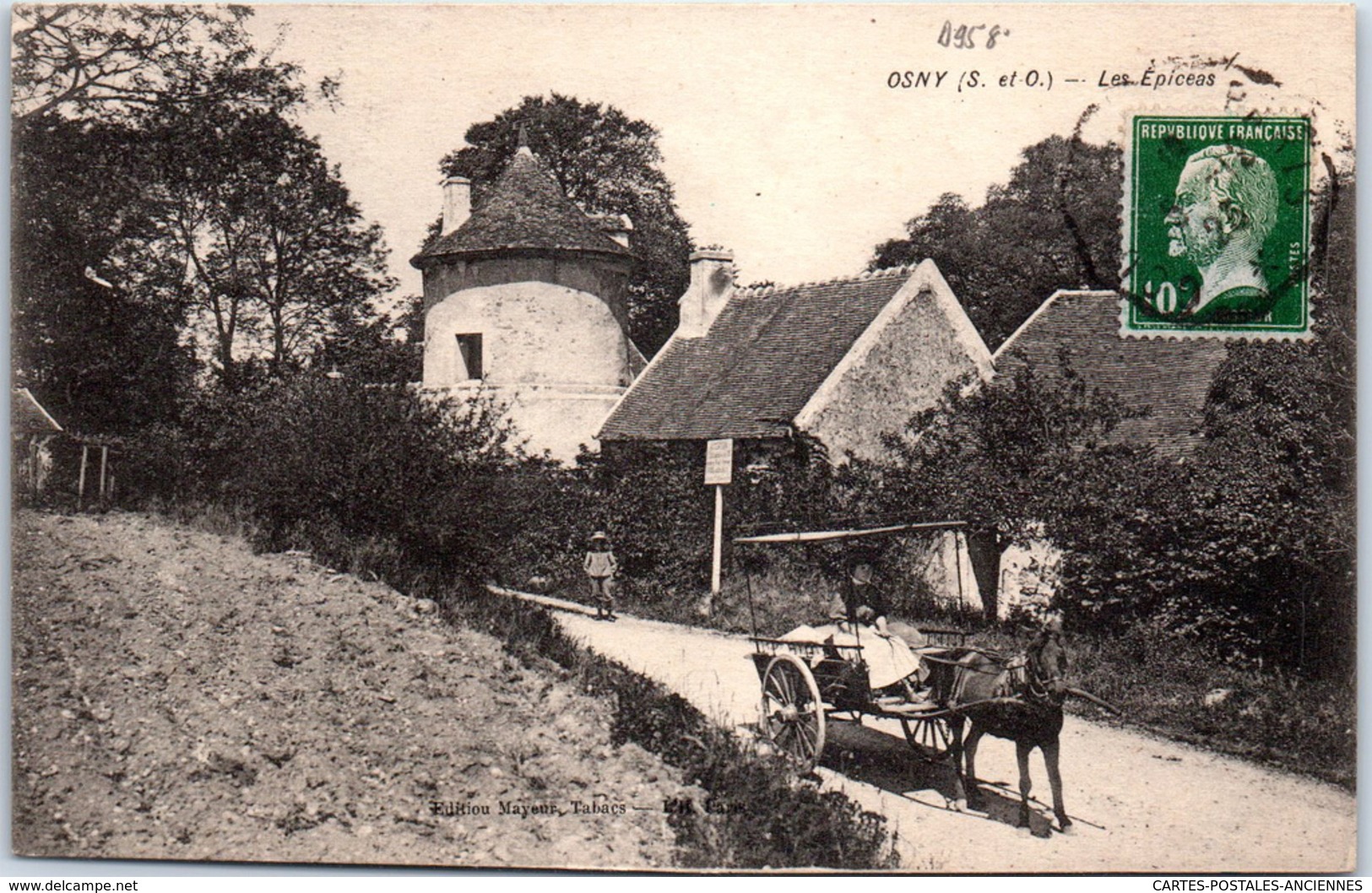 95 OSNY - les épicéas