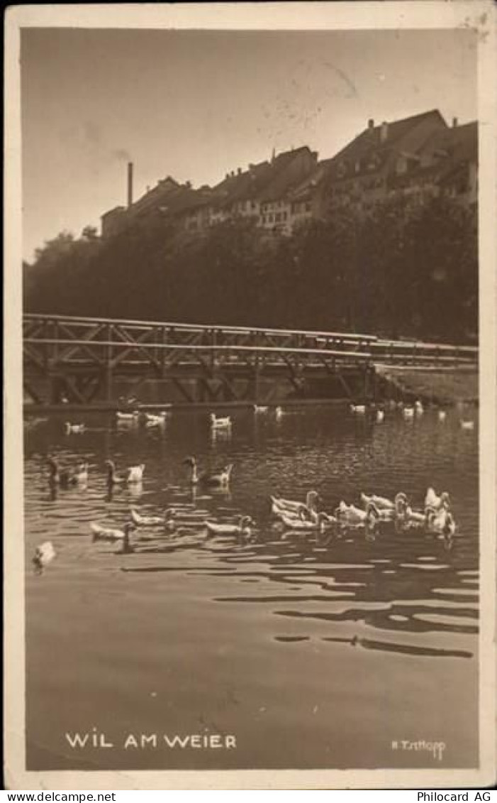 9500 Wil SG - 50479691