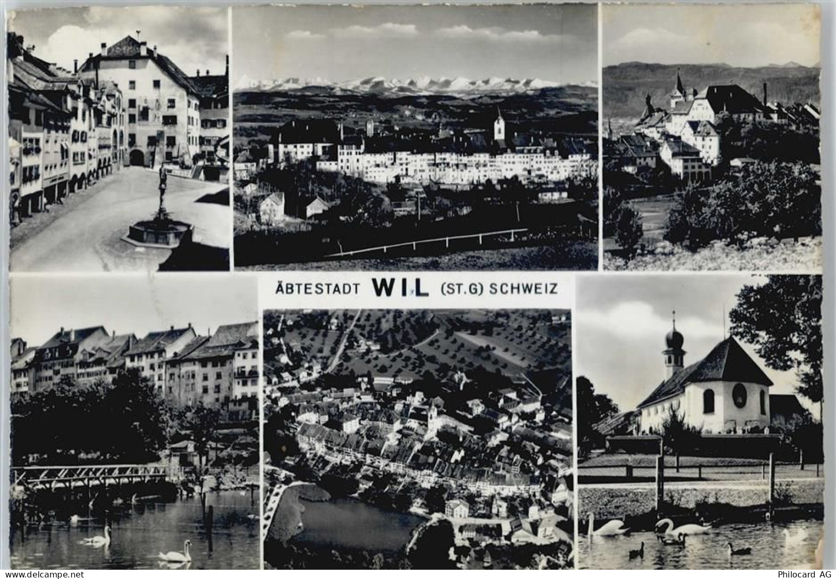 9500 Wil SG - 50499103