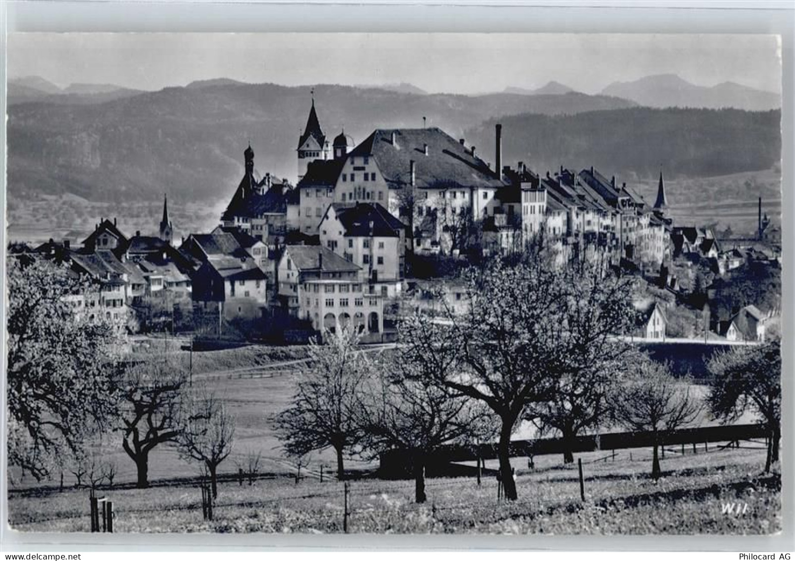 9500 Wil SG - 50669946