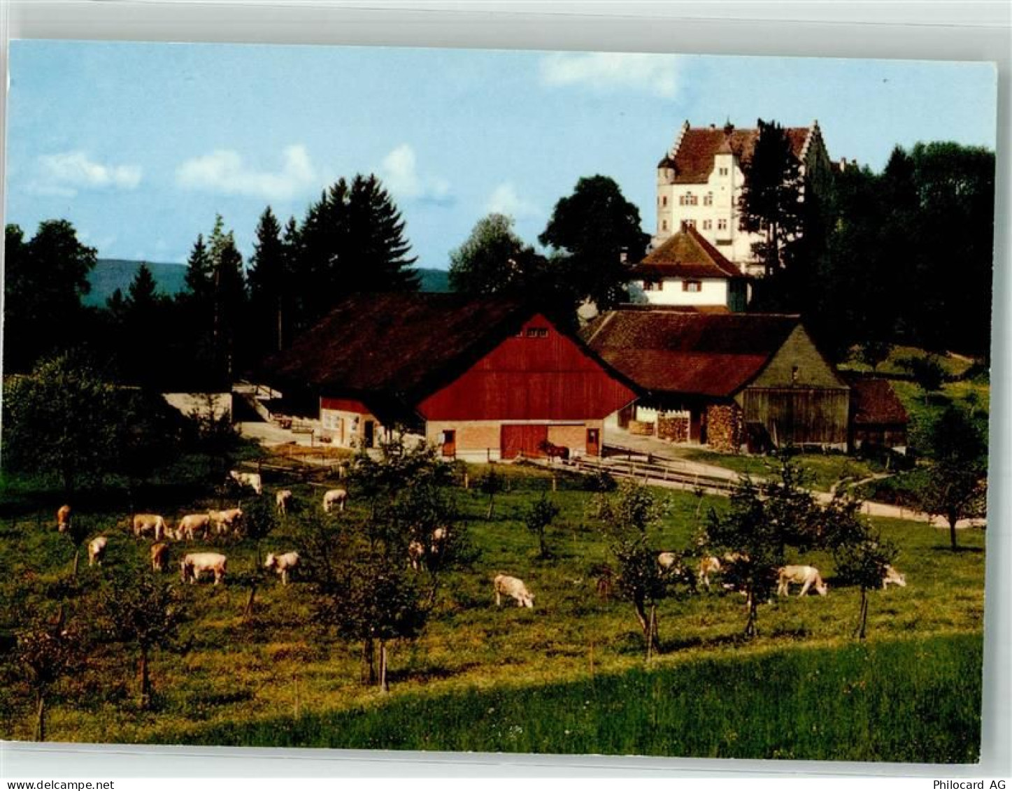 9507 Stettfurt Foto AK Schloss Sonnenberg - 38067987