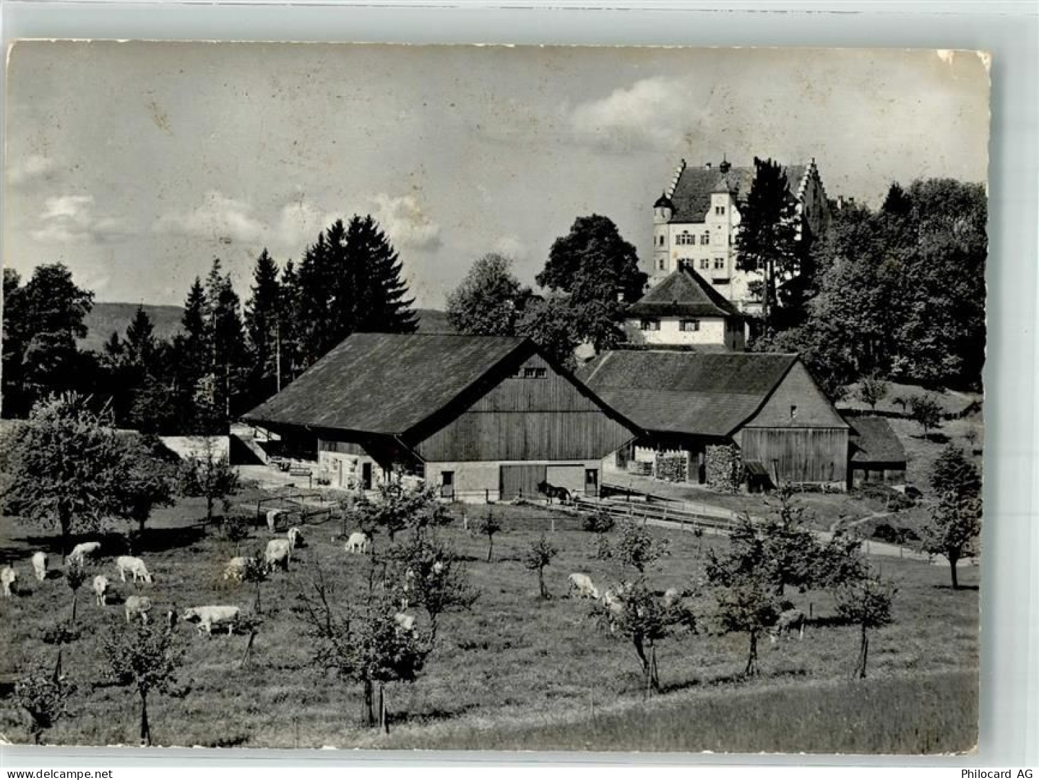 9507 Stettfurt Foto AK Schloss Sonnenberg - 38071859