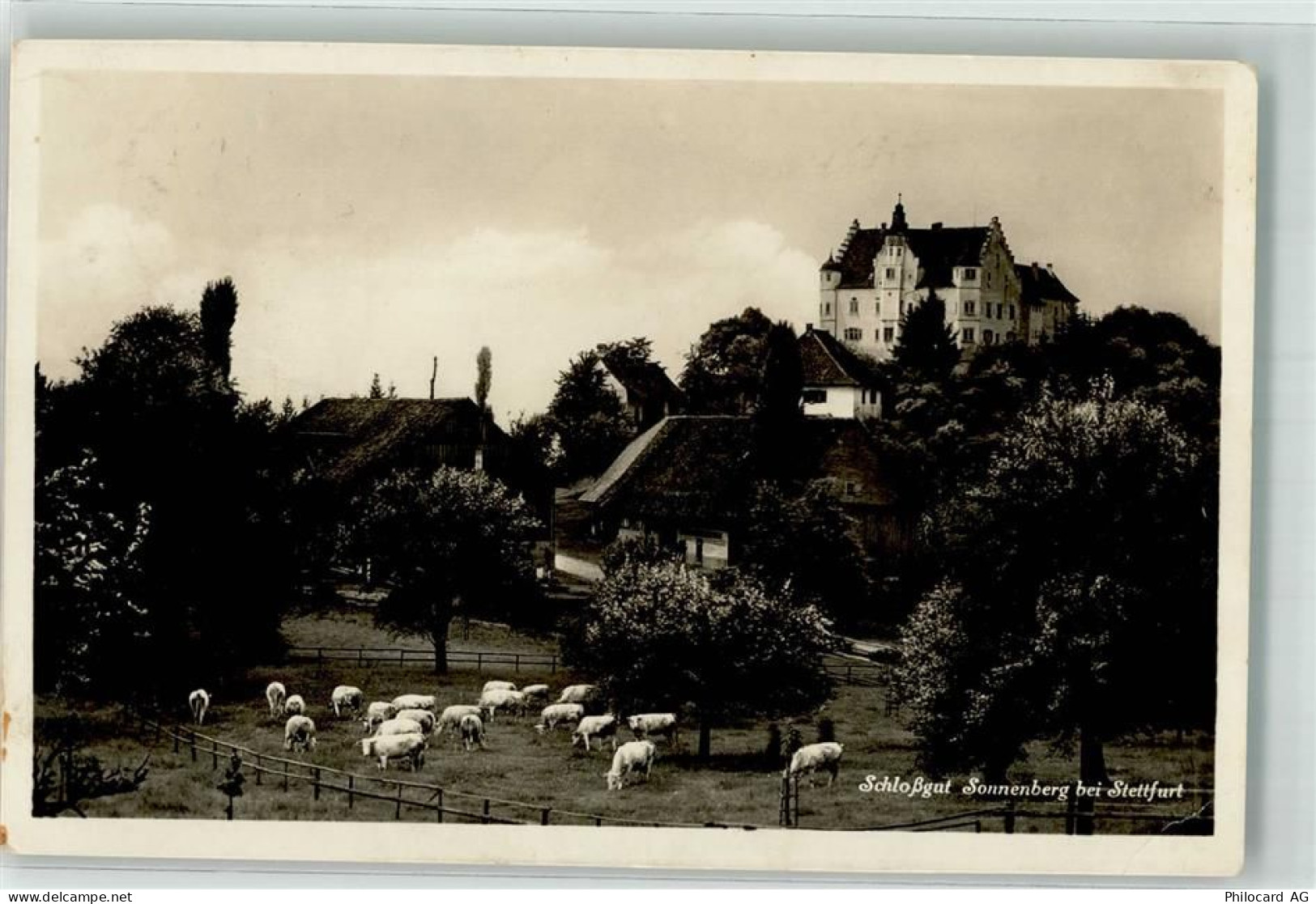 9507 Stettfurt Gebrauchsspuren Schlossgut Sonnenberg Kühe - 39695926