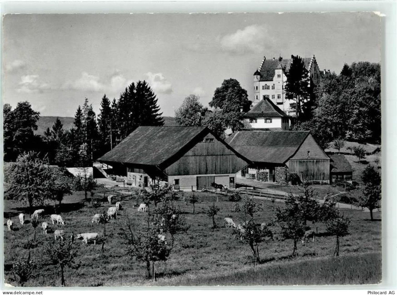 9507 Stettfurt - Schloss Sonnenberg - 51716065