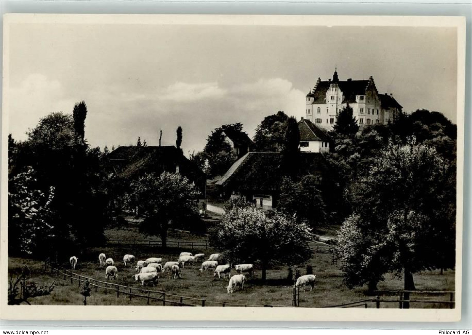 9507 Stettfurt - Schlossgut Sonnenberg - 13197809