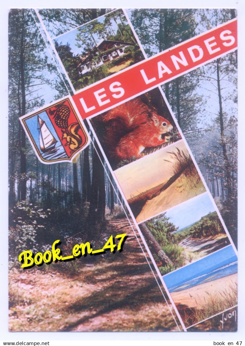 {95518} Côte Aquitaine Les Landes , multivues; divers aspects