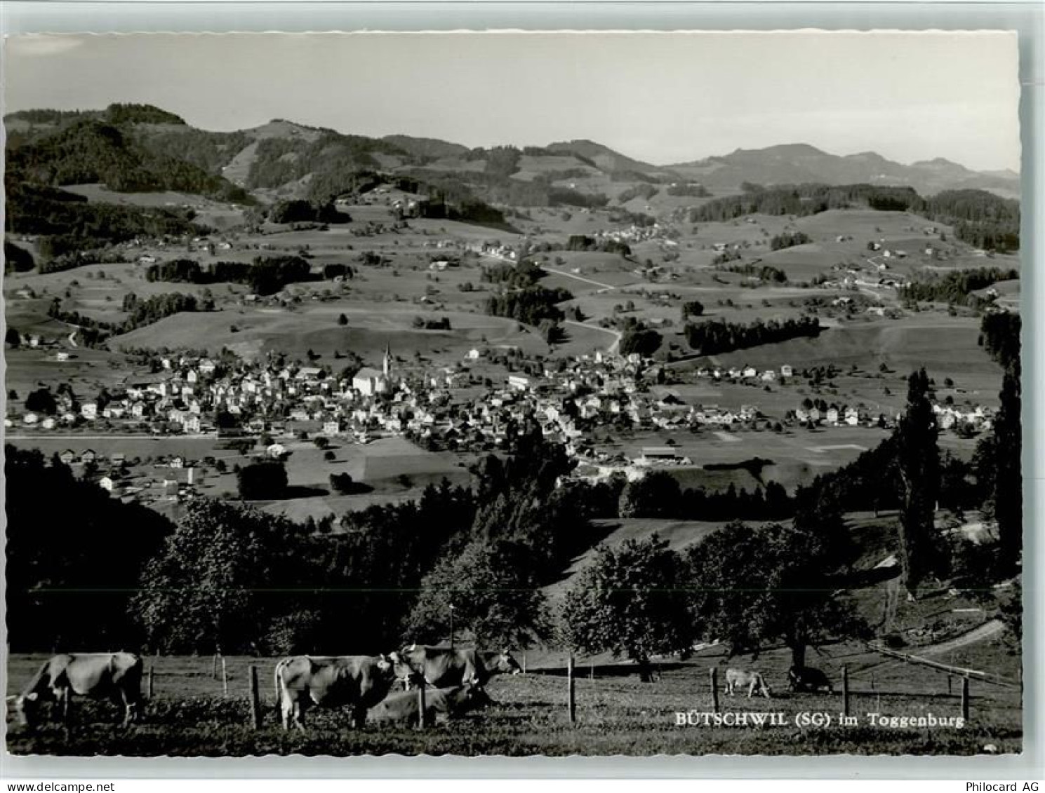 9606 Bütschwil - 10159029