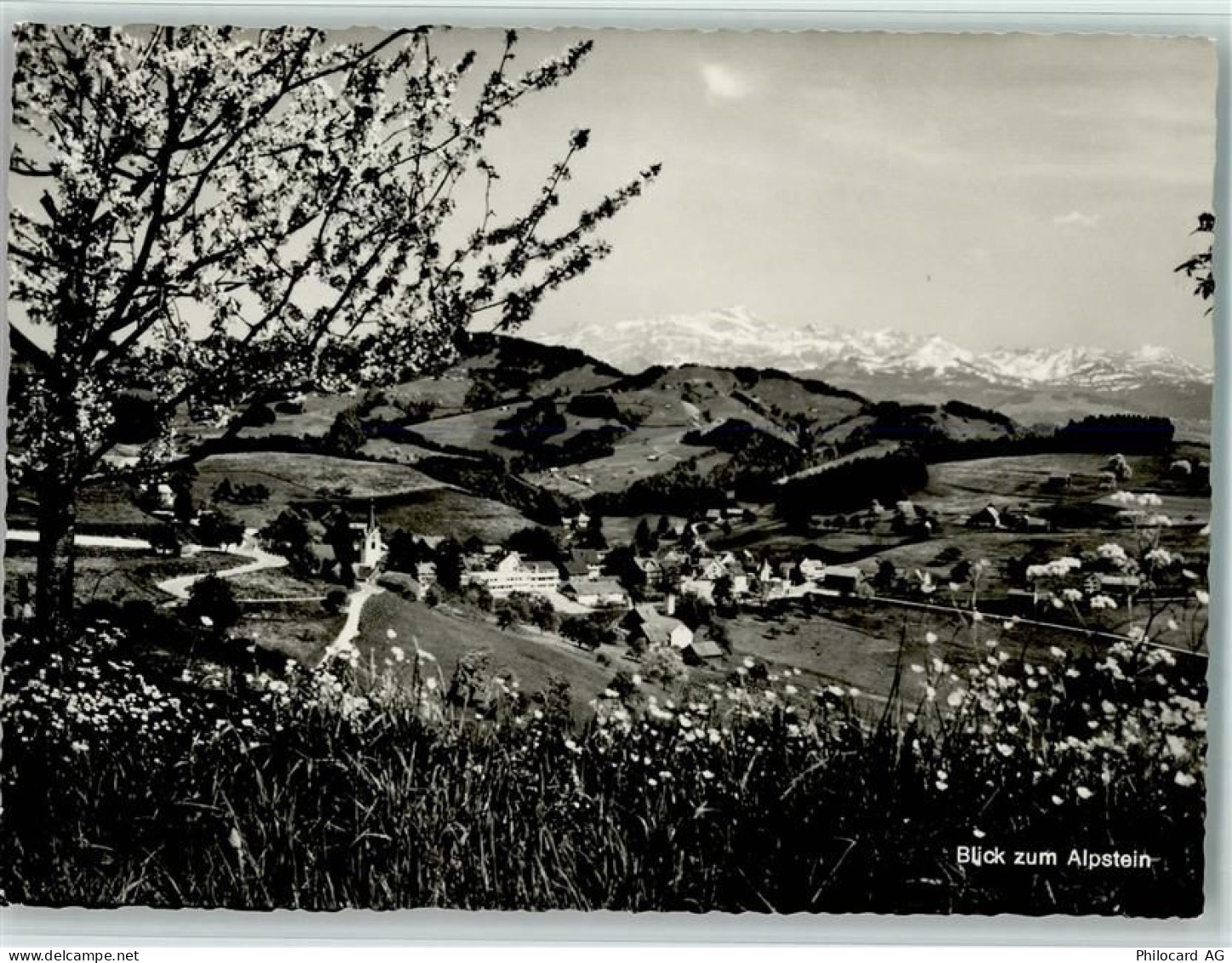 9621 Oberhelfenschwil - Blick zum Alpstein - 11051766