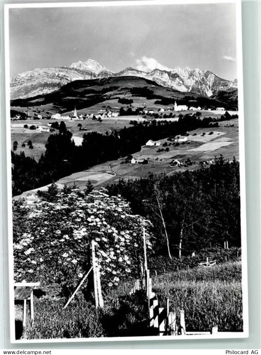 9633 Hemberg - 10280847