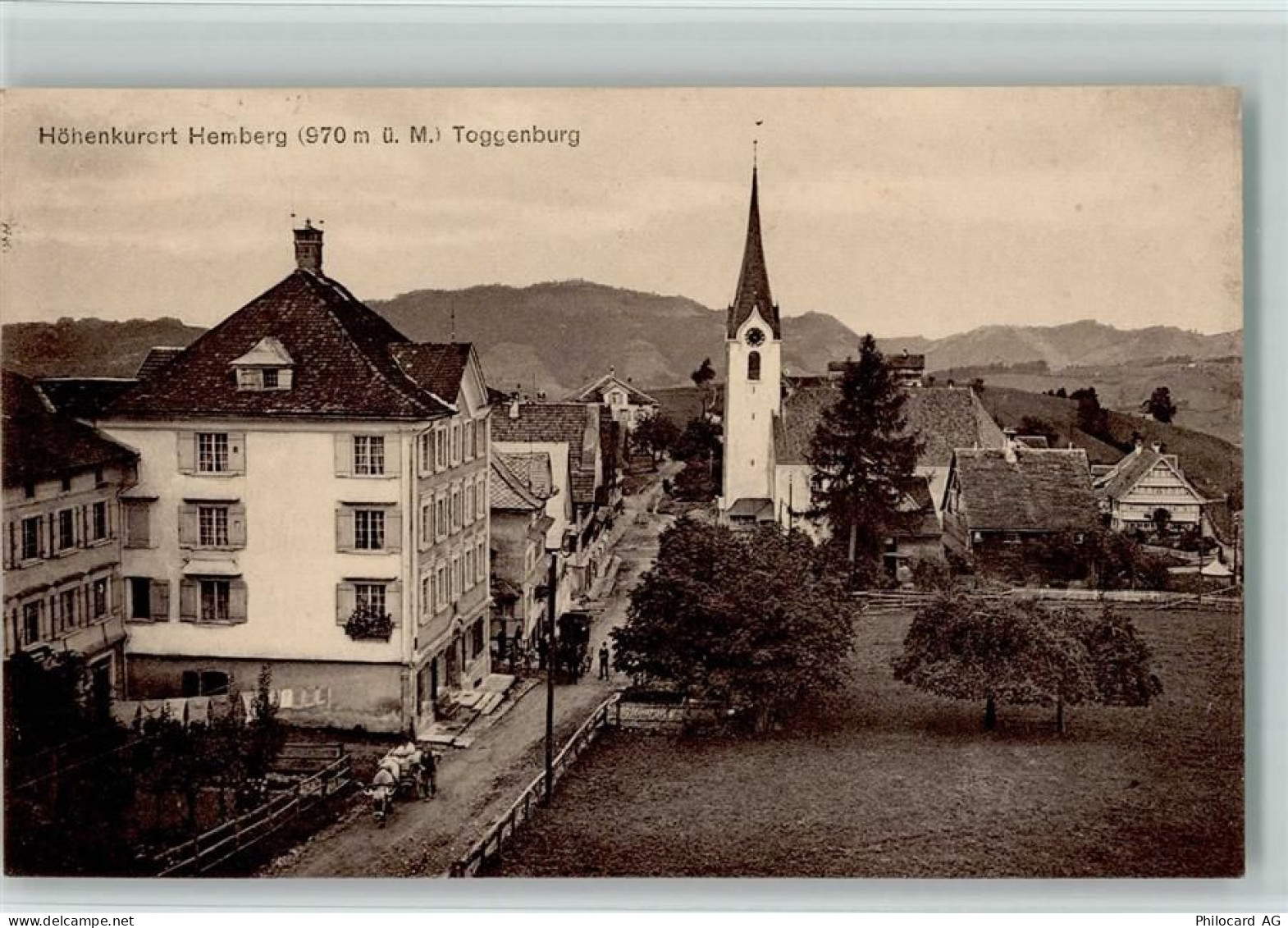 9633 Hemberg - 13117166