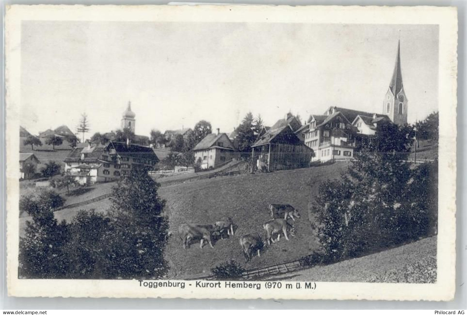 9633 Hemberg - 50894838