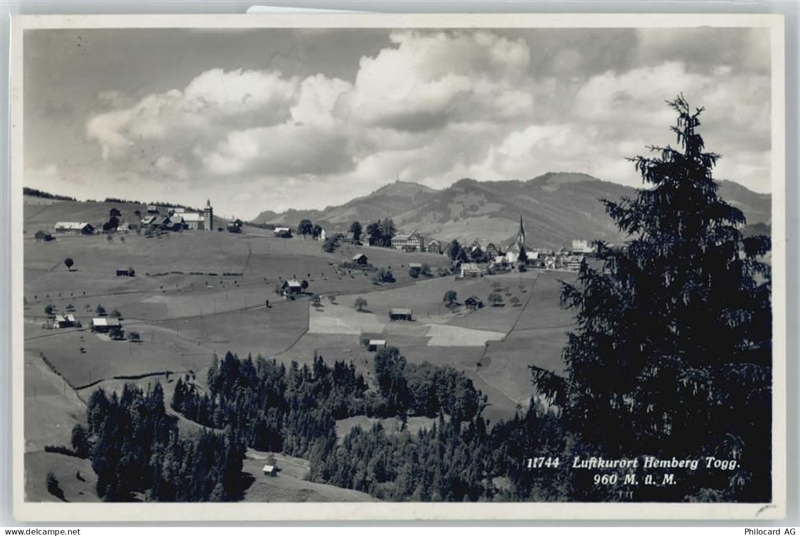 9633 Hemberg - 50894845