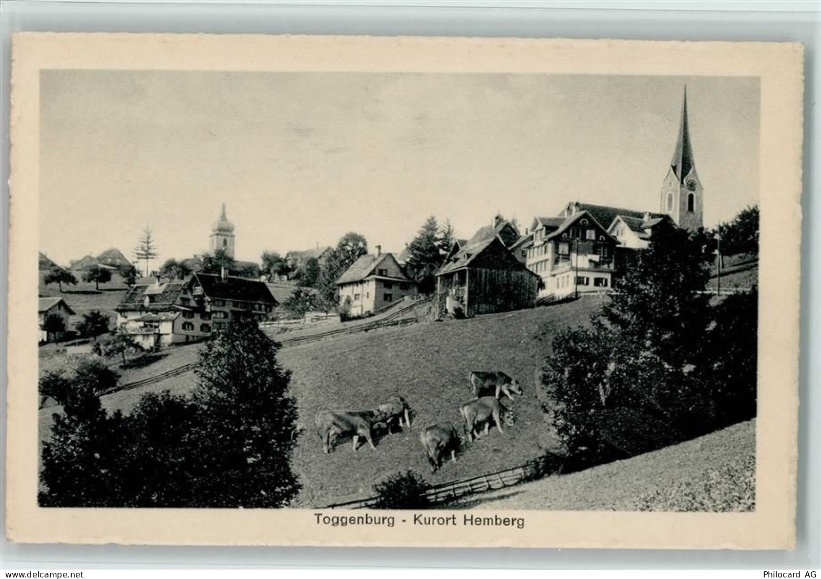 9633 Hemberg - Kühe - 13117125