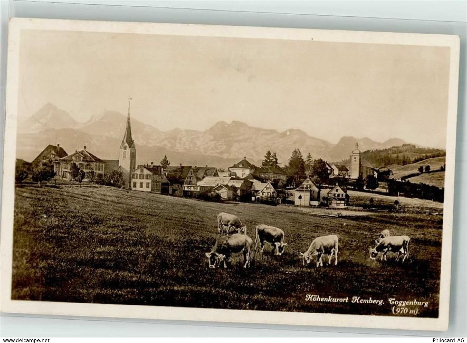 9633 Hemberg - Kühe - 39698490