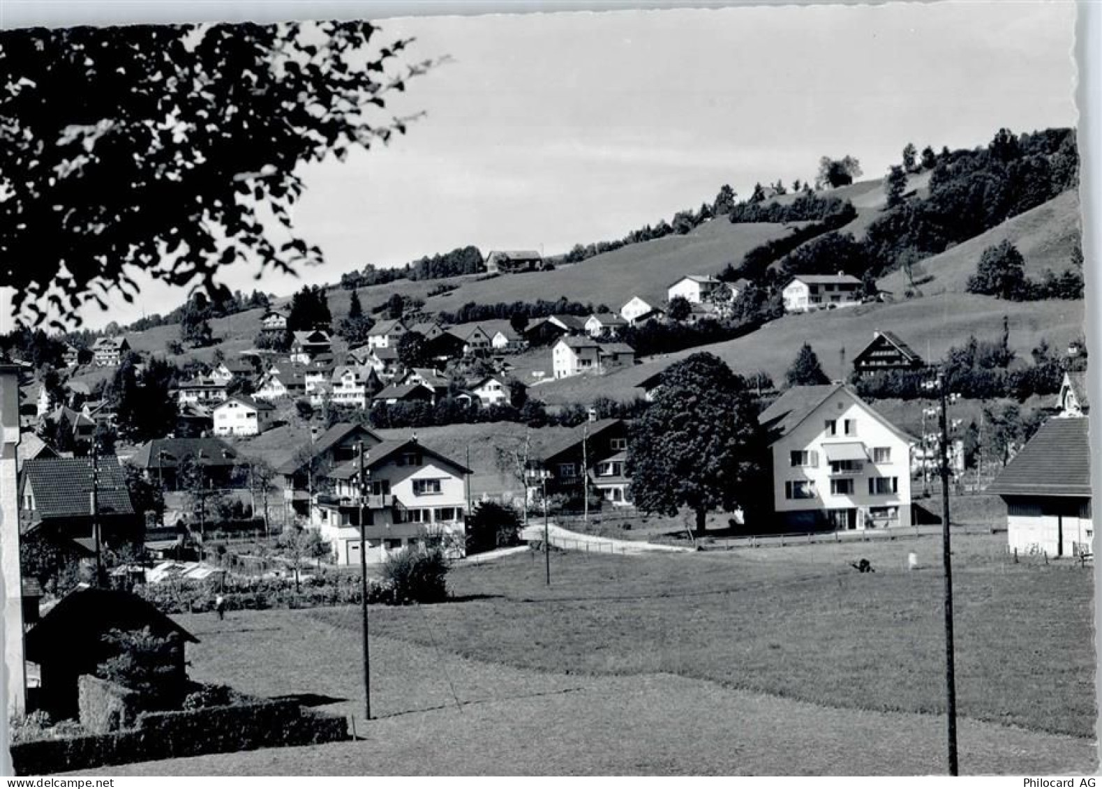 9642 Ebnat-Kappel - Bergli - 50796754