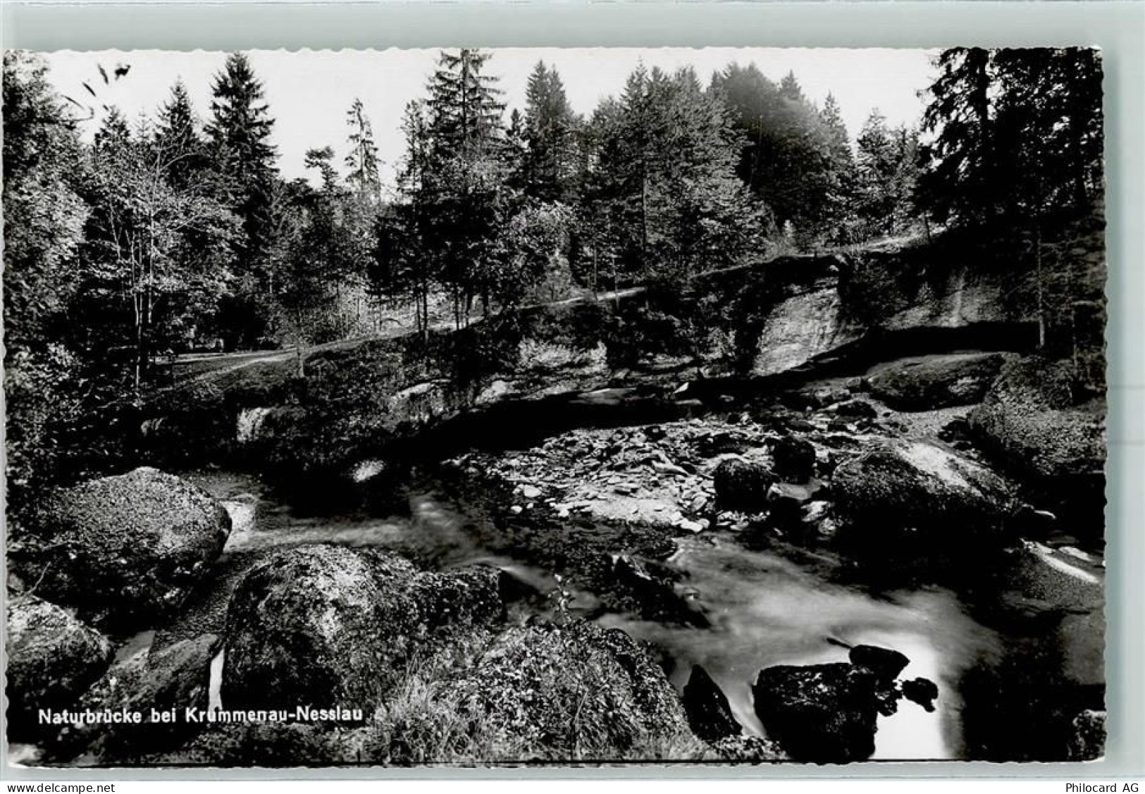 9643 Krummenau - Naturbrücke bei Krummenau-Nesslau - 10389270