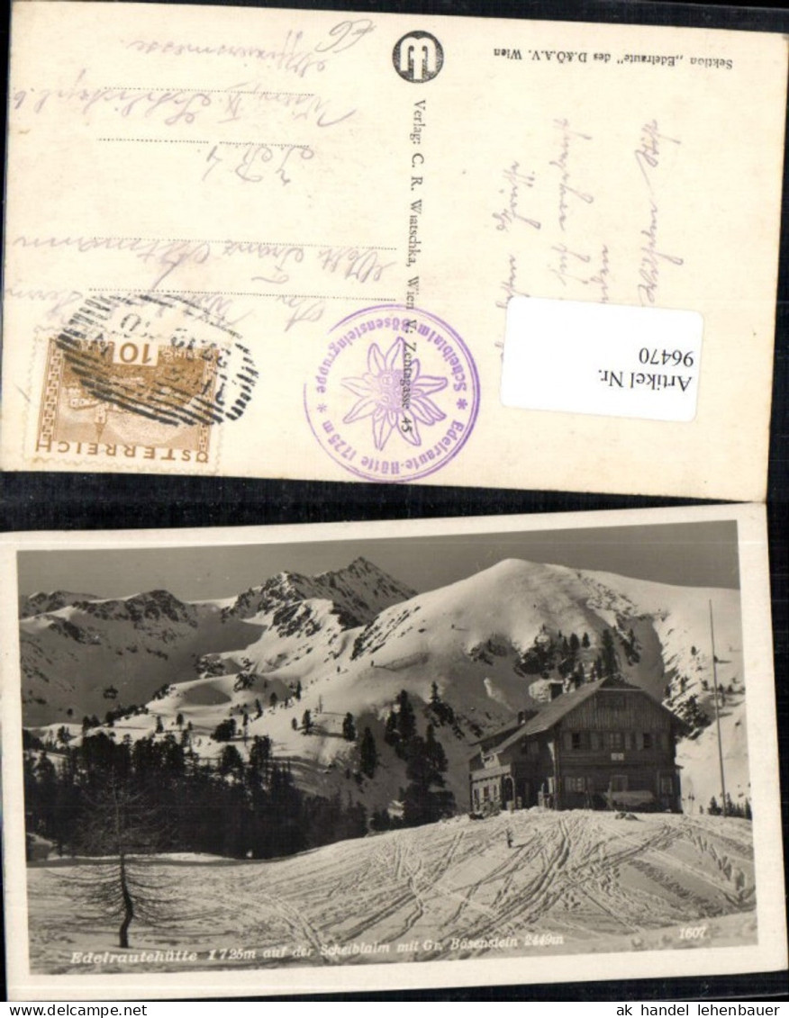 96470,Edelrautehütte mit Bösenstein Detailansicht Trieben