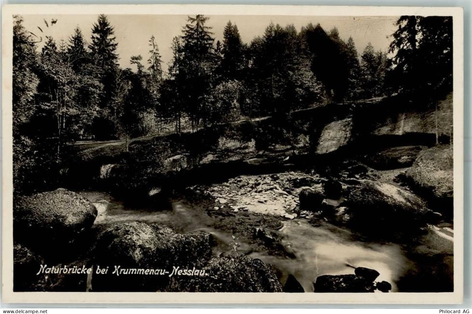 9650 Nesslau - Naturbrücke bei Krummenau - 10393365