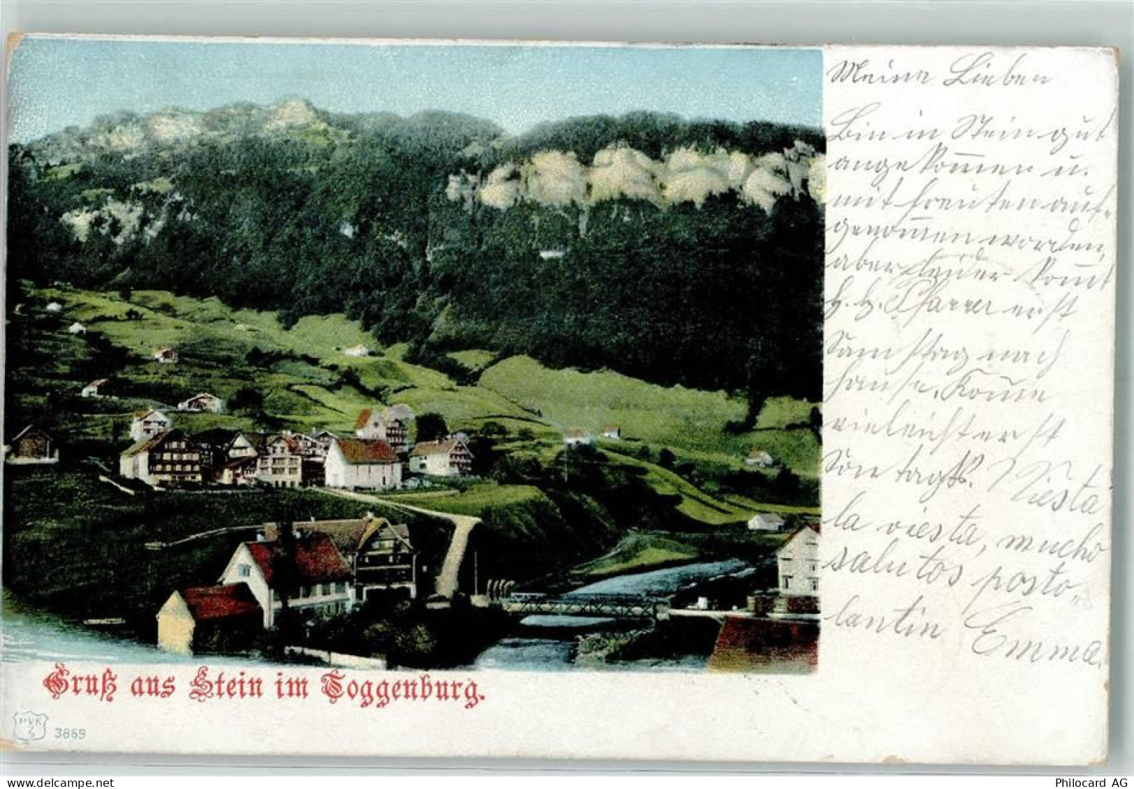 9655 Stein SG 1910 - 13123206