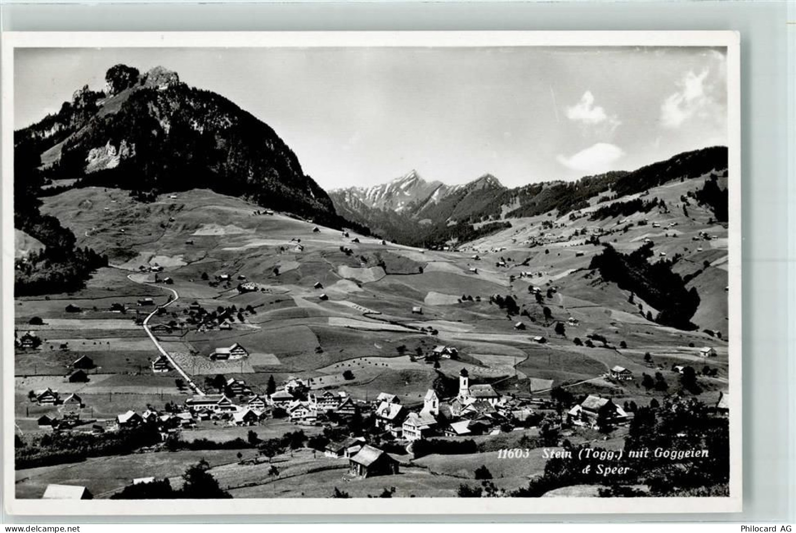 9655 Stein SG - Goggeien - 10303110