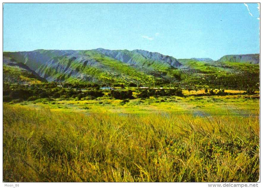 974 - ILE DE LA REUNION  - ile Bourbon -  LES HAUTS DE LA POSSESSION