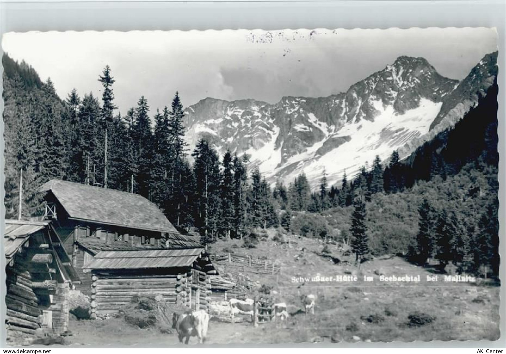 9822 Mallnitz - Schwussner-Hütte - 10043111