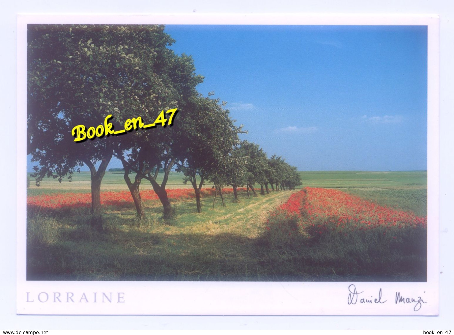 {98893} Lorraine , Entre mirabelles et coquelicots