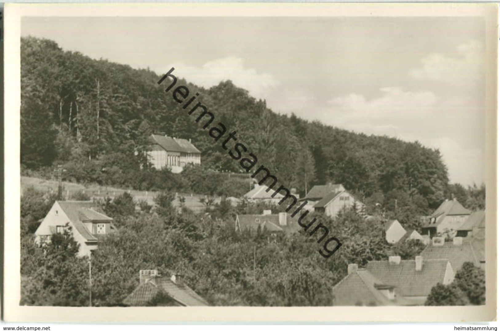99752 Bleicherode - Waldhaus Japan - Foto-Ansichtskarte - VEB Volkskunstverlag Reichenbach 1958