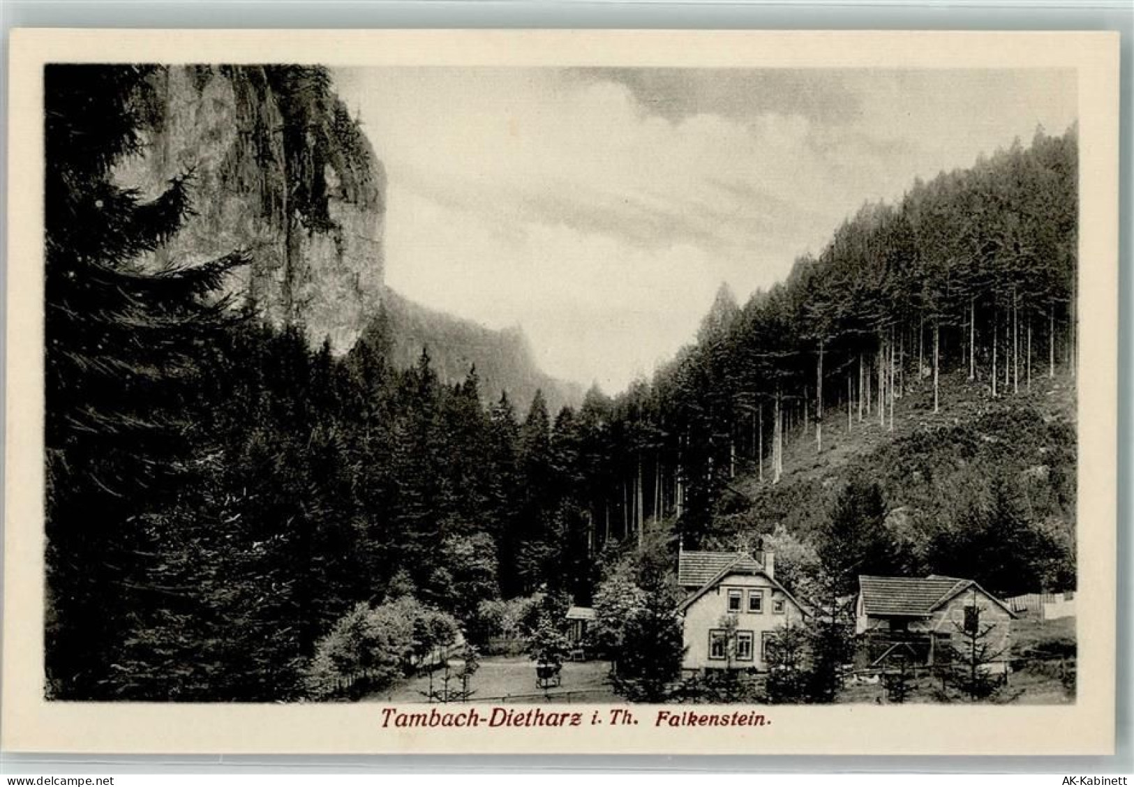99897 O5809 Tambach-Dietharz , Thüringer Wald - 39156816