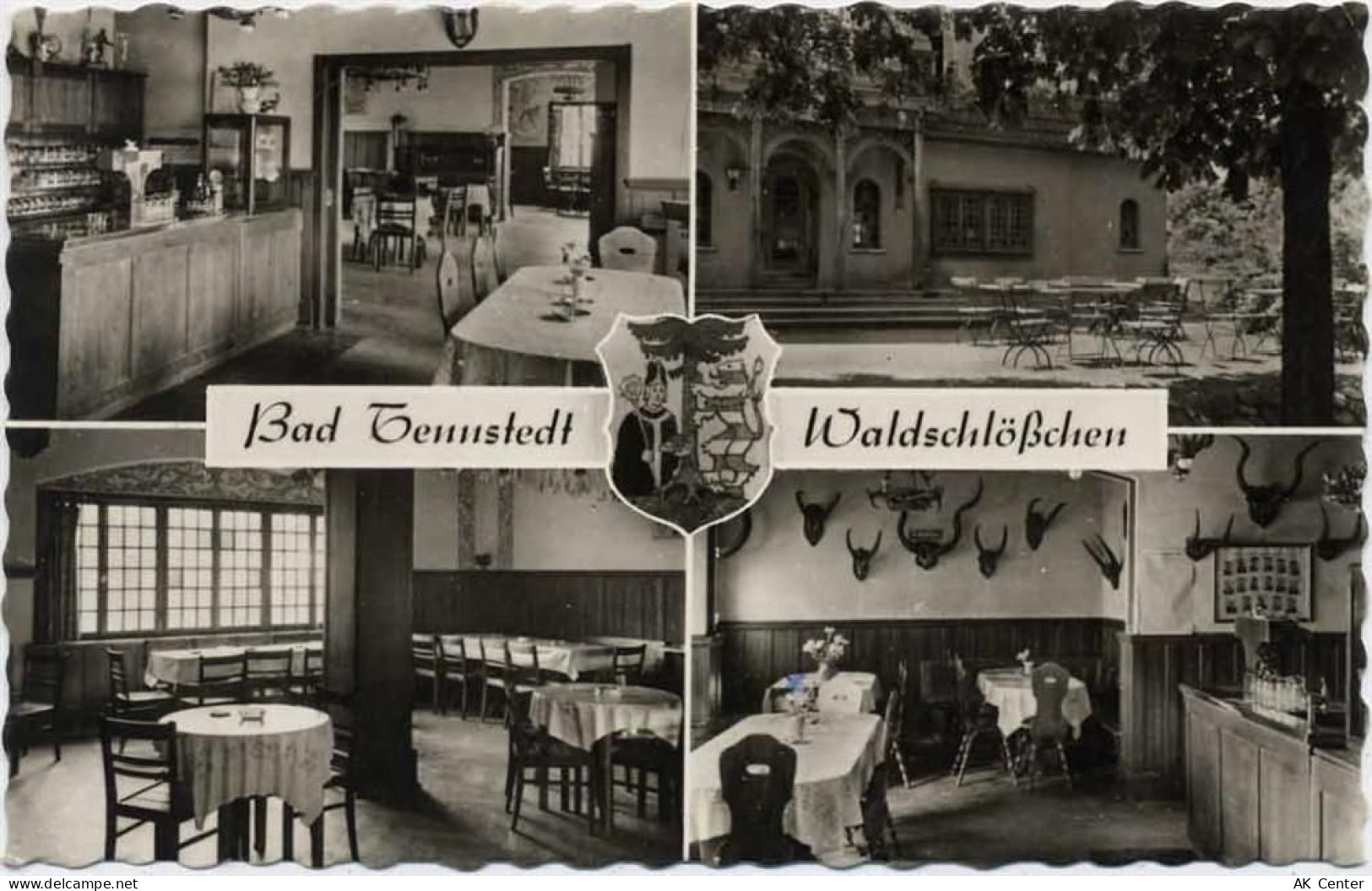 99955 O5822 Bad Tennstedt 1966 - Bad Tennstedt, Waldschlösschen,Albert H... - 20009636