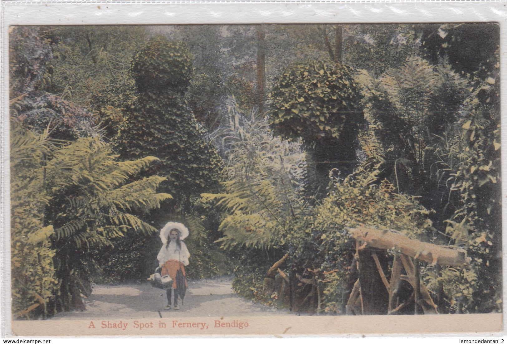 A Shady Spot in Fernery, Bendigo. *