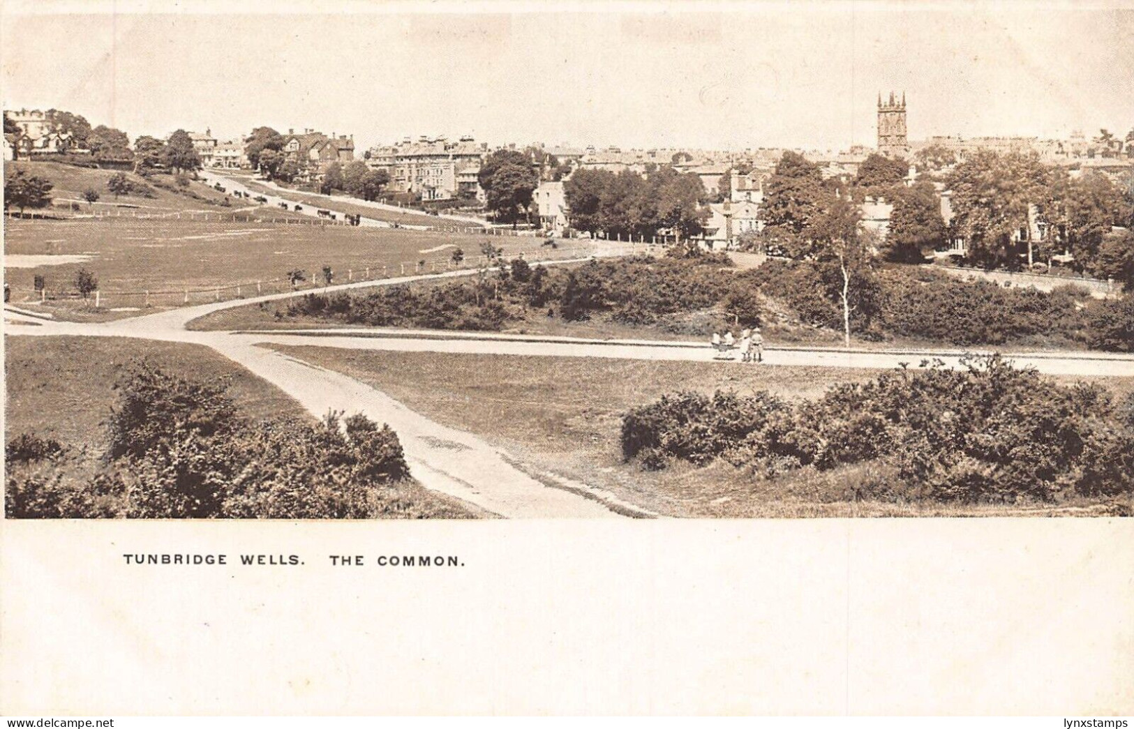A030 England Tunbridge Wells The Common vintage postcard
