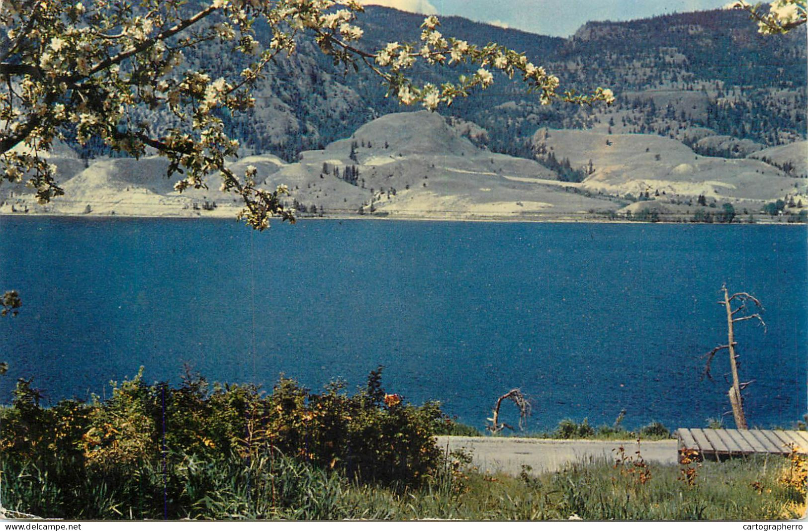 A5240 Canada Penticton BC scenic view