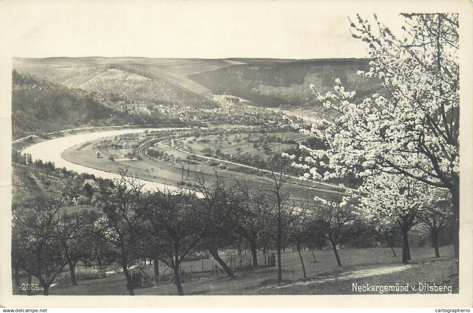 A5290 Neckargemünd Neckargemuend