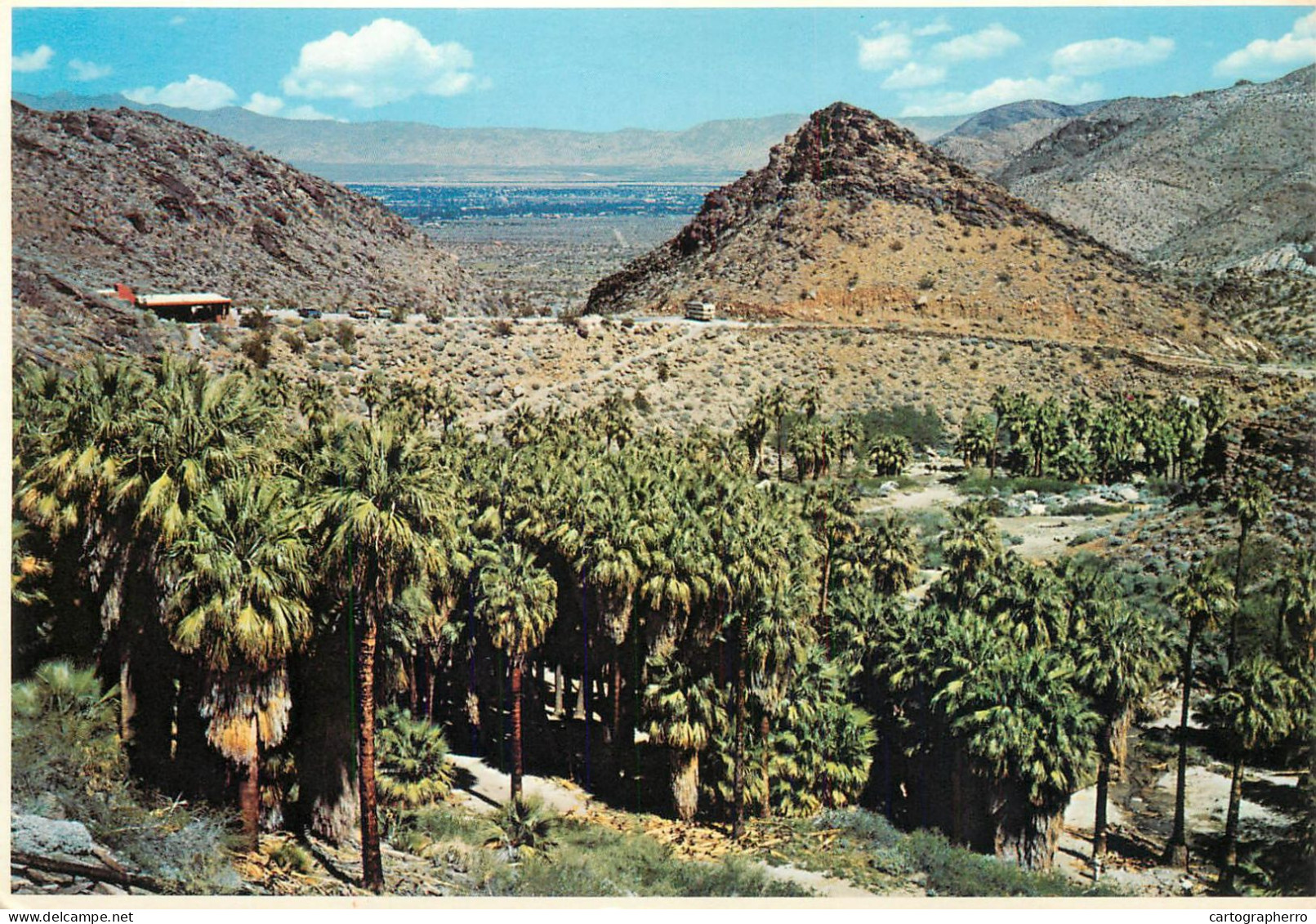 A5456 USA Palm Springs CA Palm Canyon