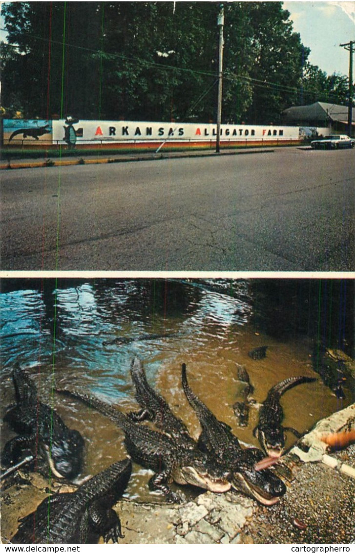 A5970 Arkansas Alligator farm and Gift Shop