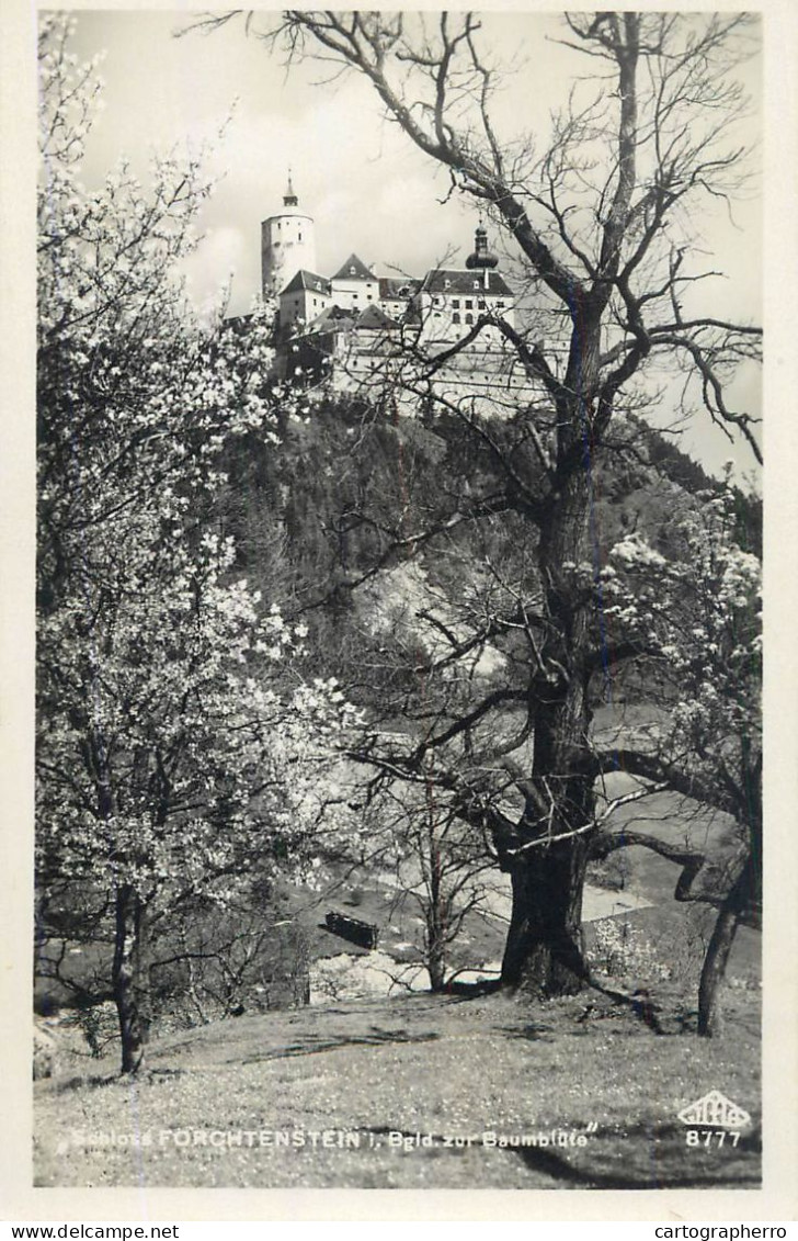 A6007 Germany Schloss Forchenstein