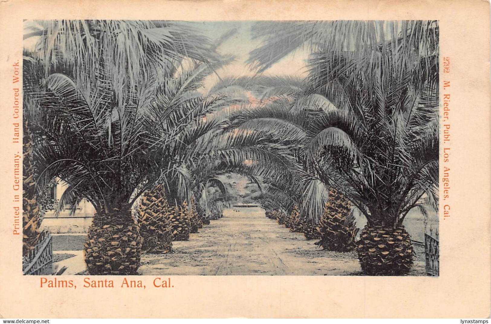 A674 US California Santa Ana Palms vintage postcard