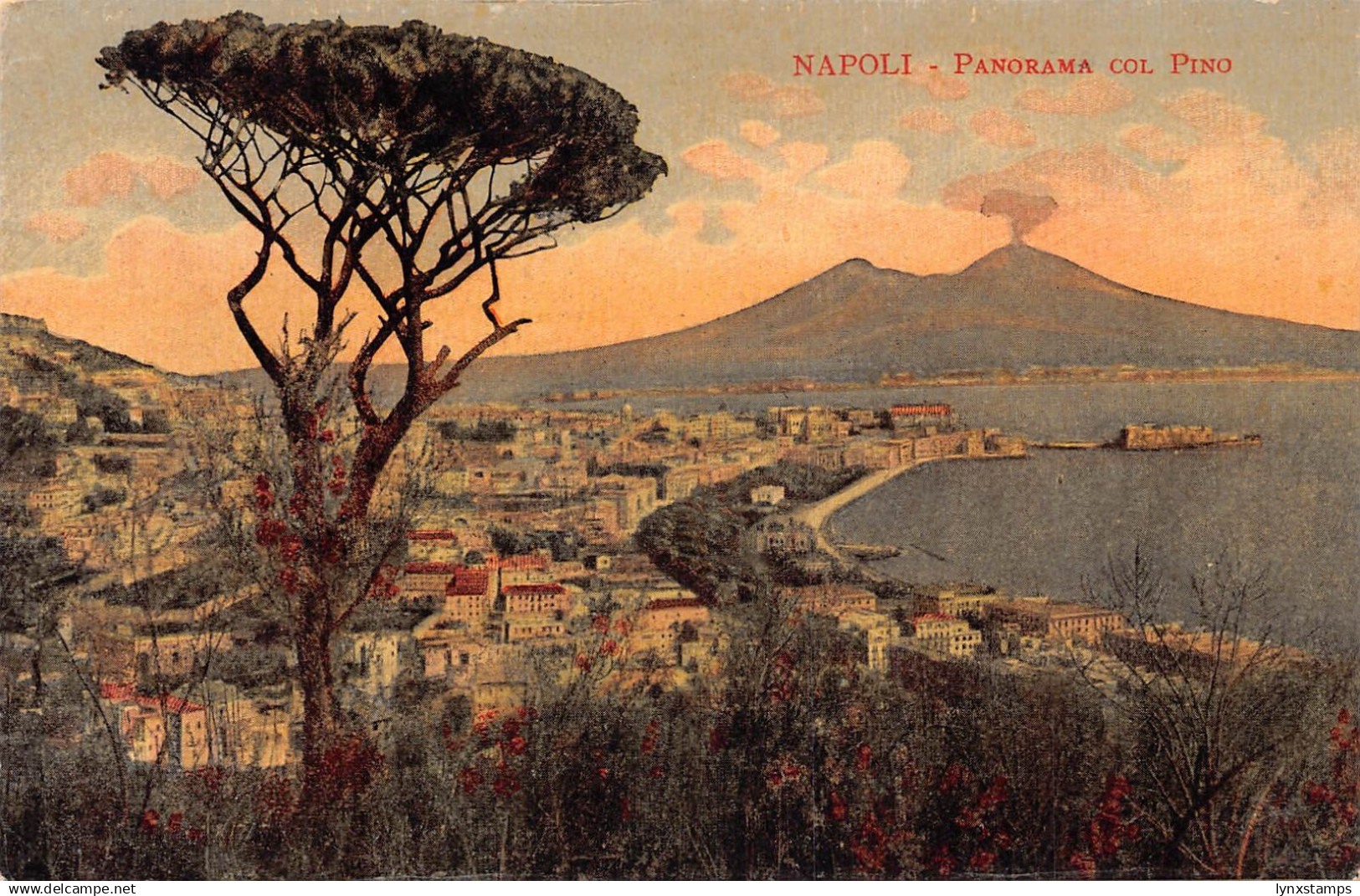 A746 Italy Napoli Naples Panorama col Pino vintage postcard