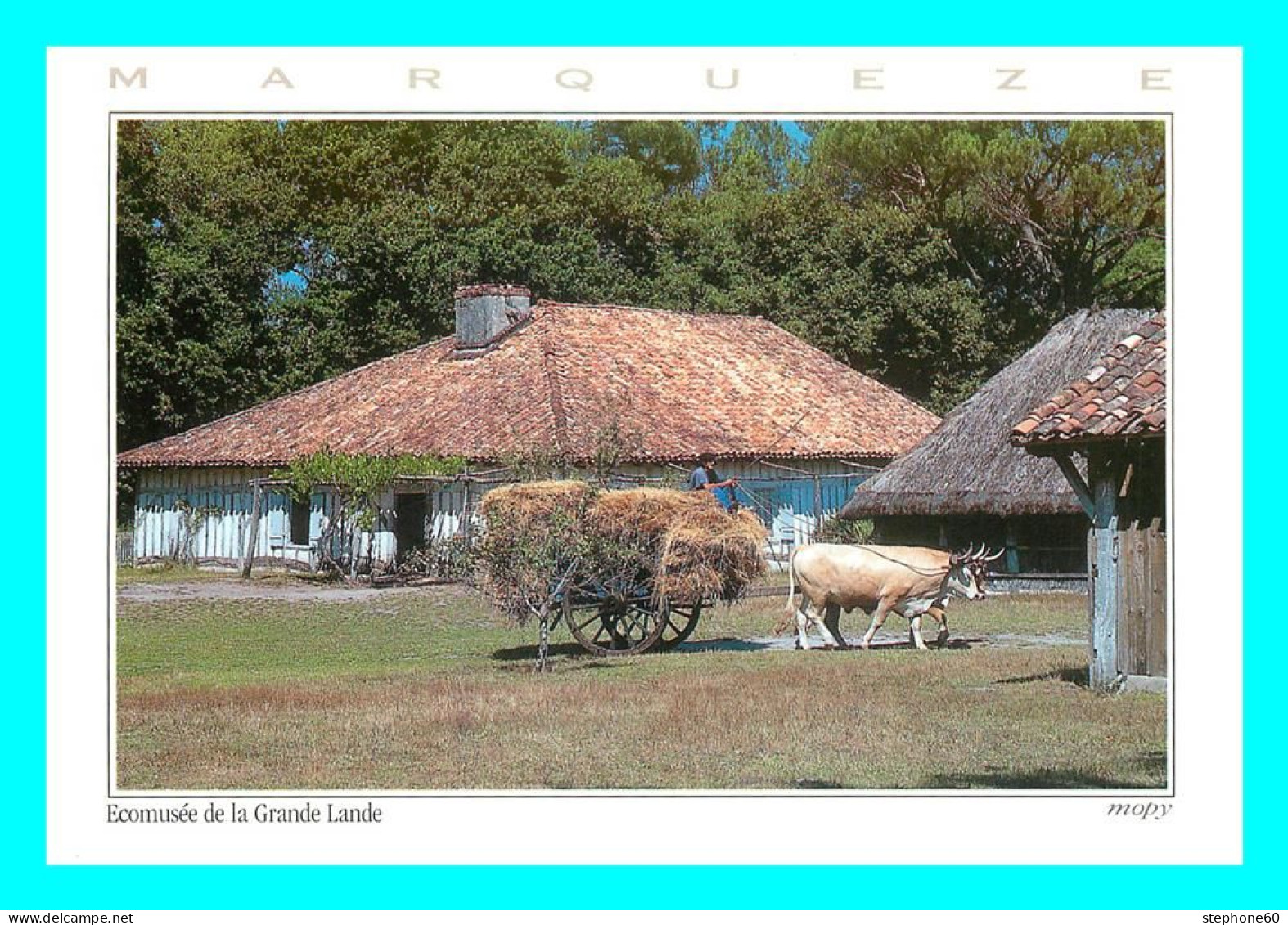 a769 / 055 40 - SABRES Marqueze La Maison de maitre