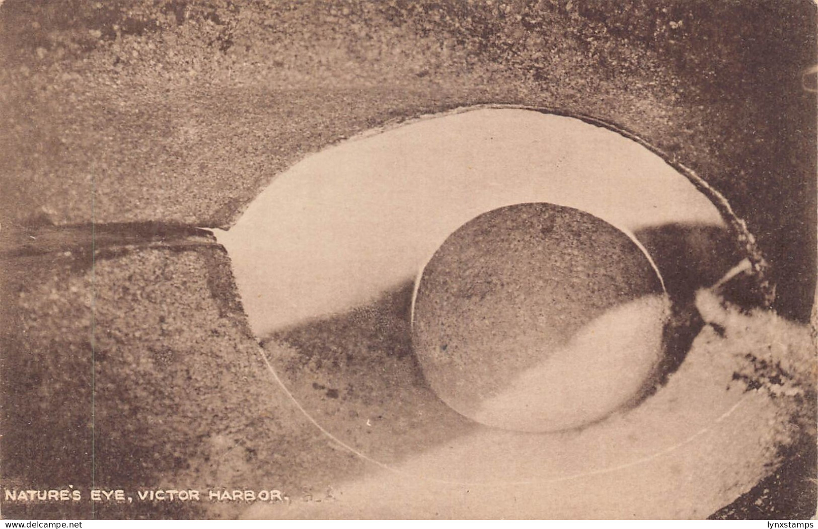 A802 Australia Victor Harbour Nature's Eye vintage postcard